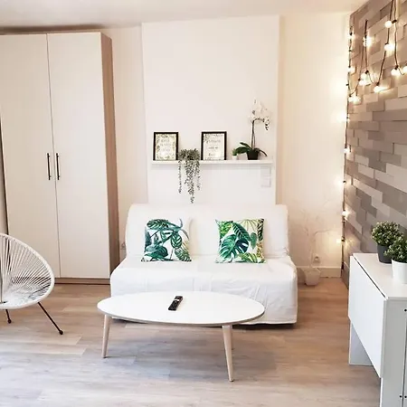 Apartamento Gregbnb - Climatise - T2 Plein Sud 38m2 - Wifi