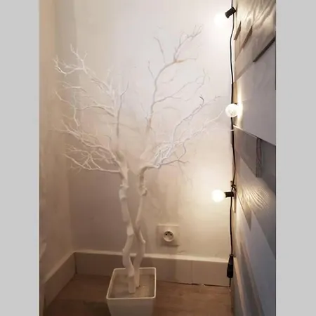 Apartamento Gregbnb - Climatise - T2 Plein Sud 38m2 - Wifi Toulon